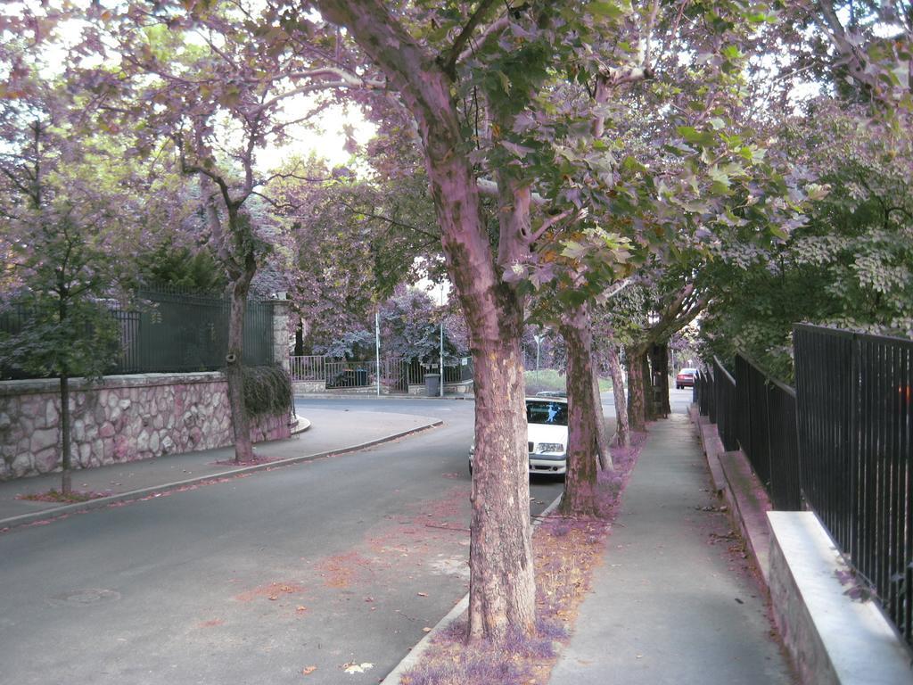 Platan Apartman بودابست الغرفة الصورة