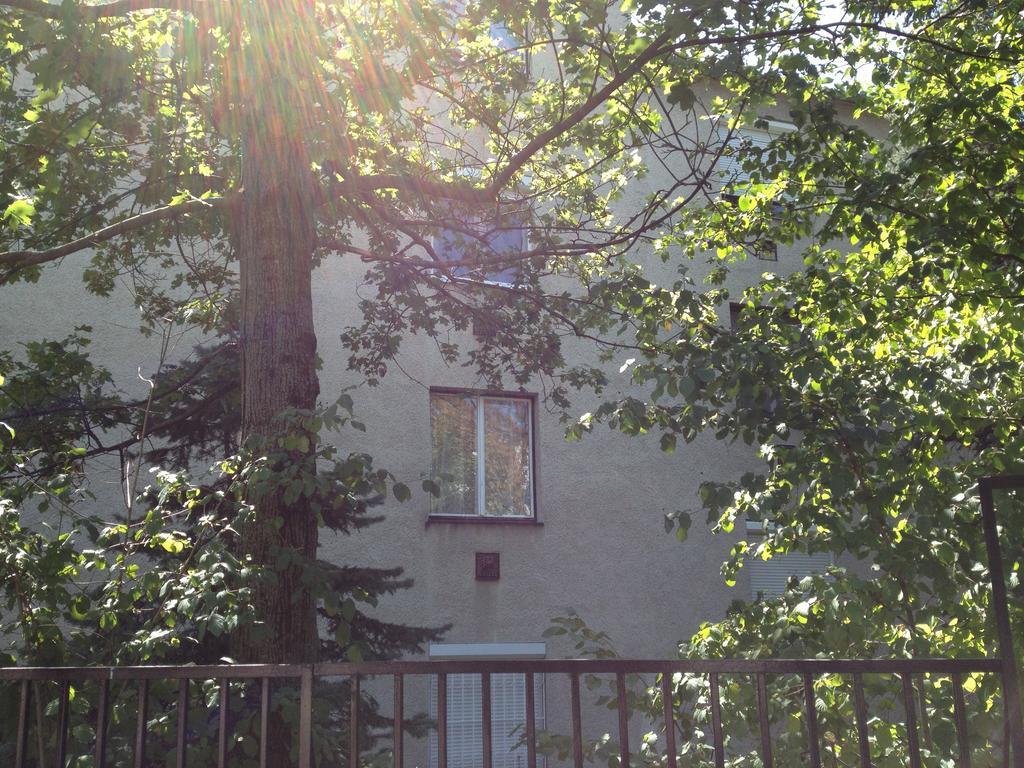Platan Apartman بودابست الغرفة الصورة